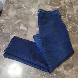 Talbots Women's Dark Blue Skinny Jeans